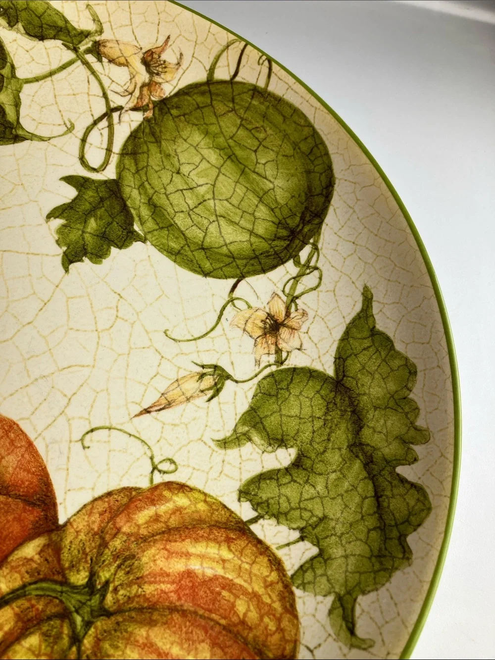 Pier 1 Harvest Garden 2 Dinner Plates 11
